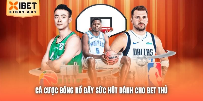 Cá cược bóng rổ đầy sức hút dành cho bet thủ 