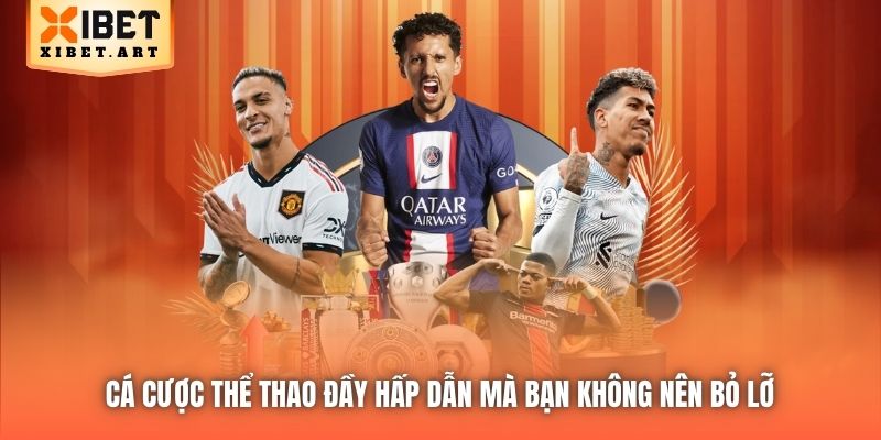 Cá cược Thể Thao đầy hấp dẫn mà bạn không nên bỏ lỡ 