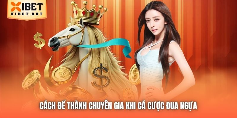 Cách để thành chuyên gia khi cá cược đua ngựa