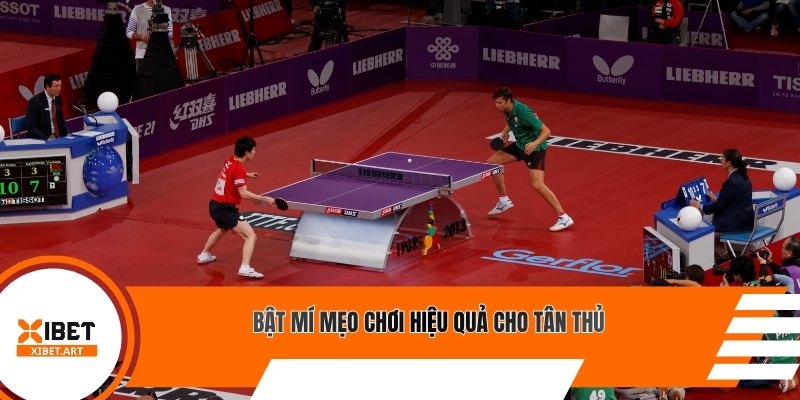 Bật mí mẹo chơi hiệu quả cho tân thủ
