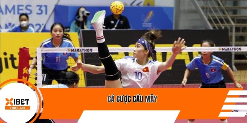 Cá cược cầu mây