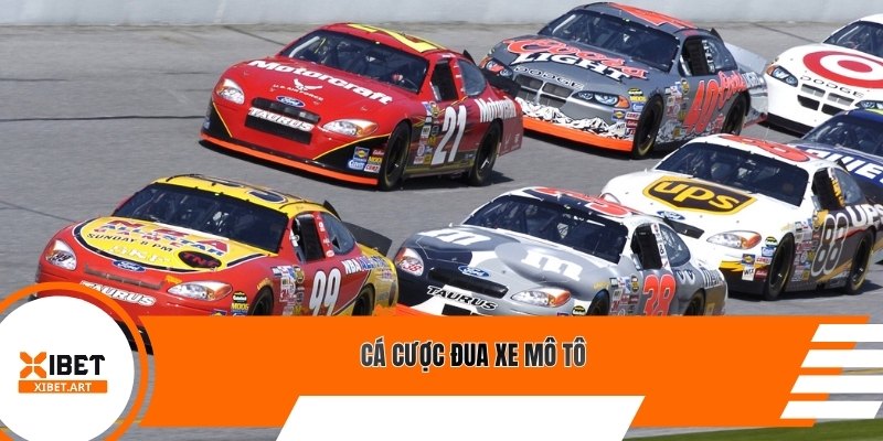 Cá cược đua xe mô tô