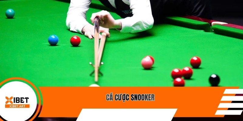 Cá cược snooker