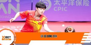 Cá độ bóng bàn