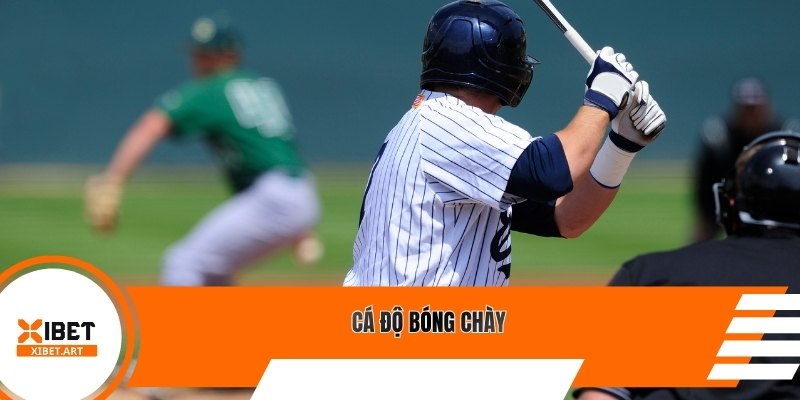 Cá độ bóng chày