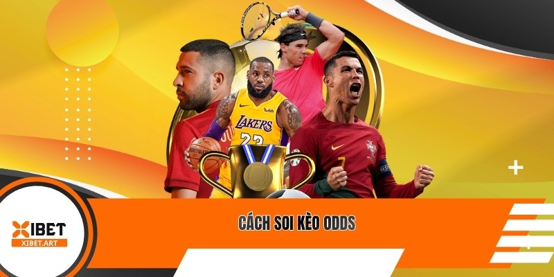 Cách soi kèo Odds