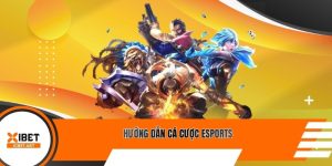 Hướng Dẫn Cá Cược Esports