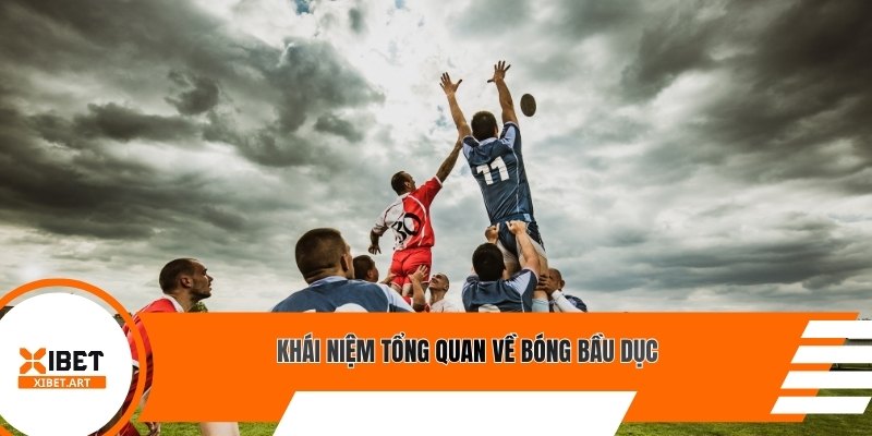 Khái niệm tổng quan về bóng bầu dục
