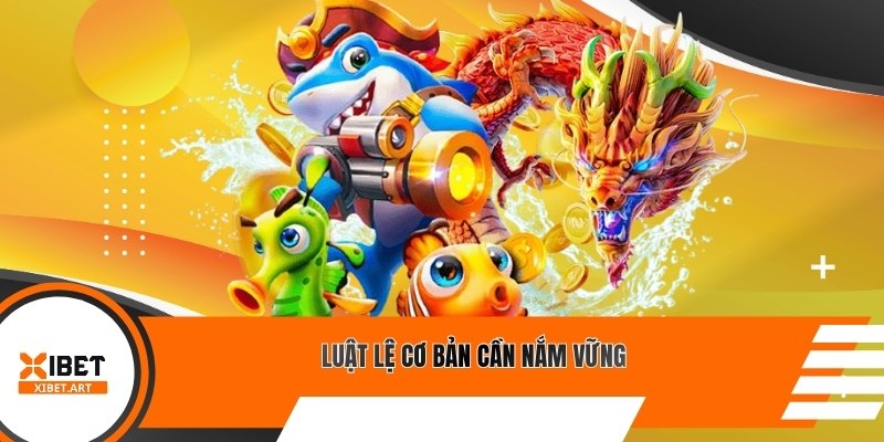 Luật lệ cơ bản cần nắm vững