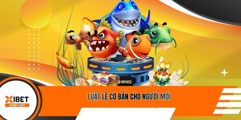 Luật lệ cơ bản cho người mới