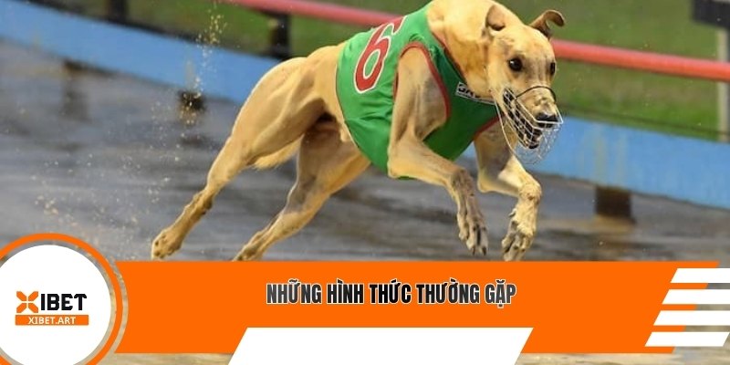 Những hình thức thường gặp