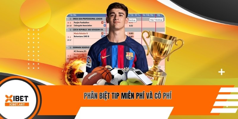 Phân biệt tip miễn phí và có phí