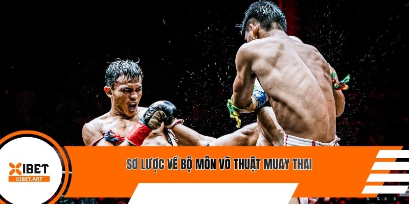 Sơ lược về bộ môn võ thuật Muay Thai