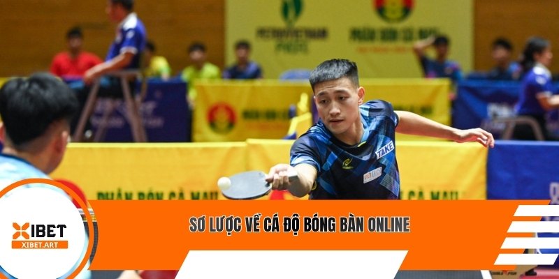 Sơ lược về cá độ bóng bàn online