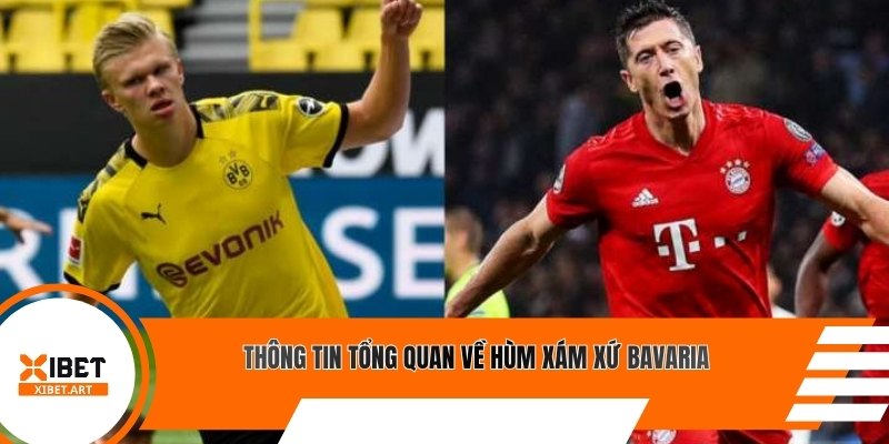 Thông tin tổng quan về Hùm xám xứ Bavaria