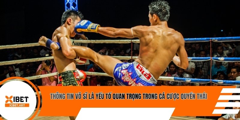 Thông tin võ sĩ là yếu tố quan trọng trong cá cược quyền thái
