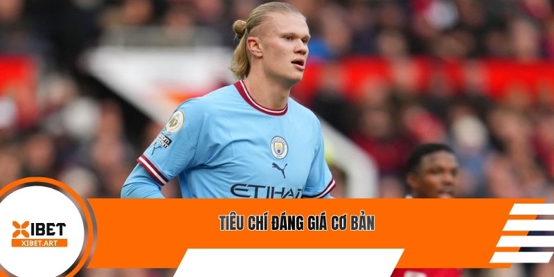 Tiêu chí đáng giá cơ bản