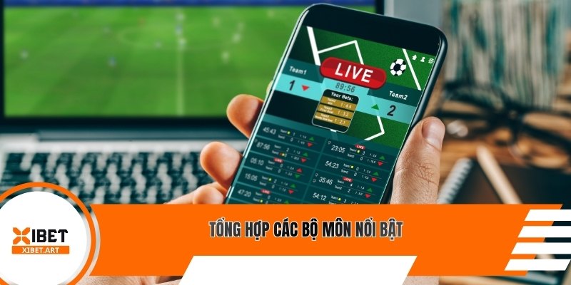 Tổng hợp các bộ môn nổi bật