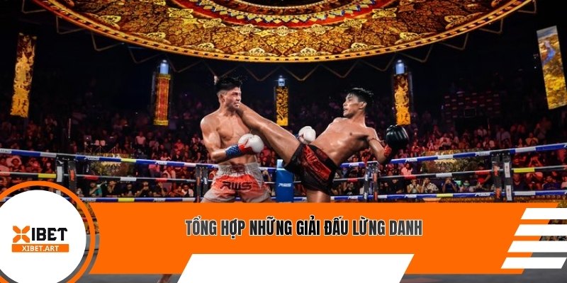 Tổng hợp những giải đấu lừng danh