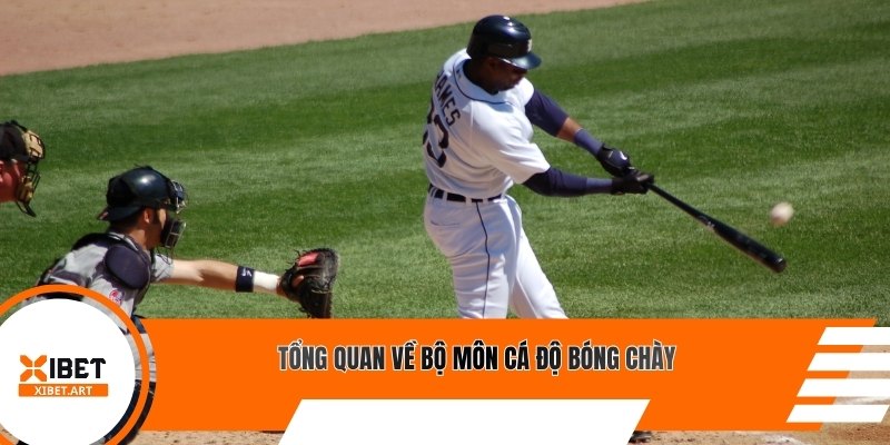 Tổng quan về bộ môn cá độ bóng chày