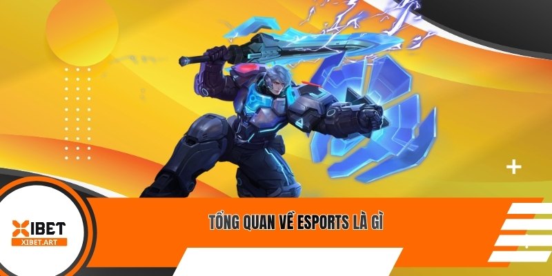 Tổng quan về Esports là gì
