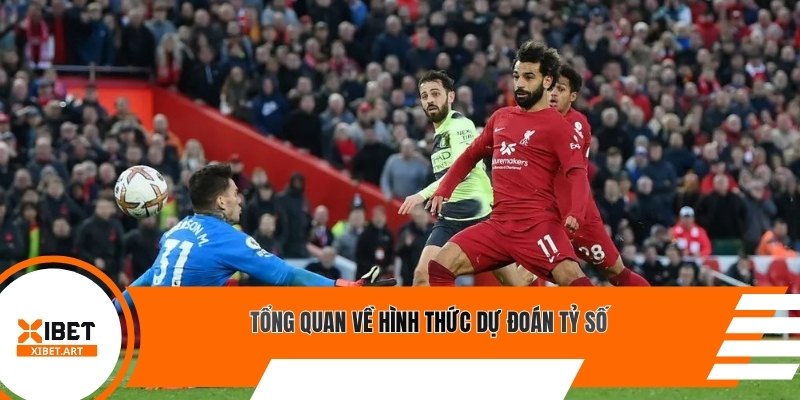 Tổng quan về hình thức dự đoán tỷ số